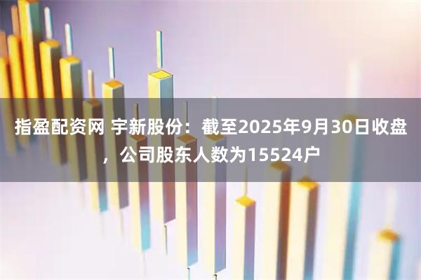 指盈配资网 宇新股份：截至2025年9月30日收盘，公司股东人数为15524户