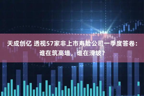 天成创亿 透视57家非上市寿险公司一季度答卷：谁在筑高墙，谁在滑坡？
