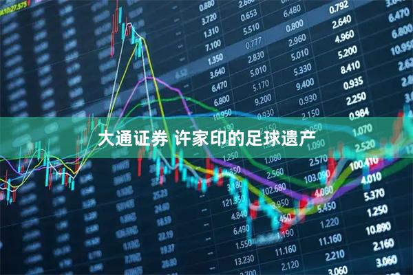 大通证券 许家印的足球遗产